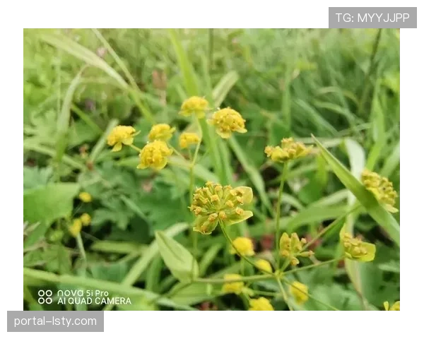 镜头捕捉:朗斯主帅海瑟在边线不断用手势提醒弟子切换防守模式